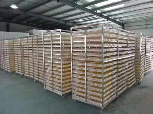 休寧縣新款惠誠(chéng)食品烘干機(jī)廠家 礦山與建筑設(shè)備倉(cāng)儲(chǔ)的高效解決方案